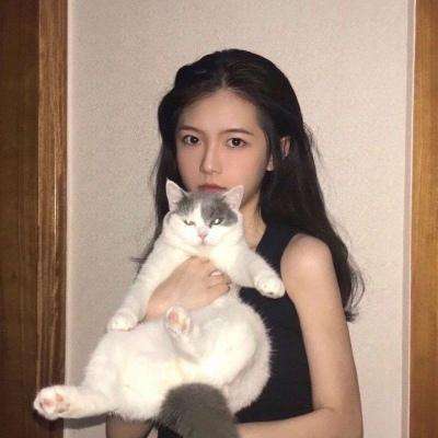 蛋仔派对云玩版下载